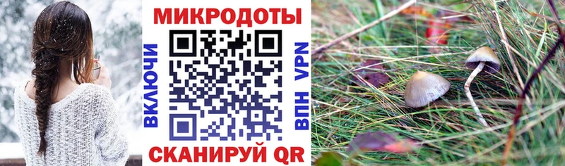 Галлюциногенные грибы MAGIC MUSHROOMS  Купить  Руза 